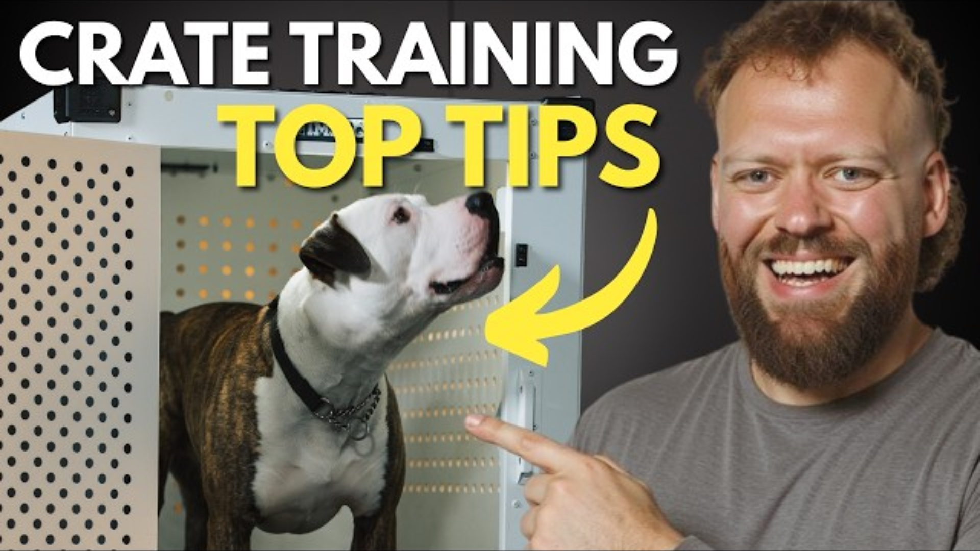 Effective Crate Training Tips for Your Dog