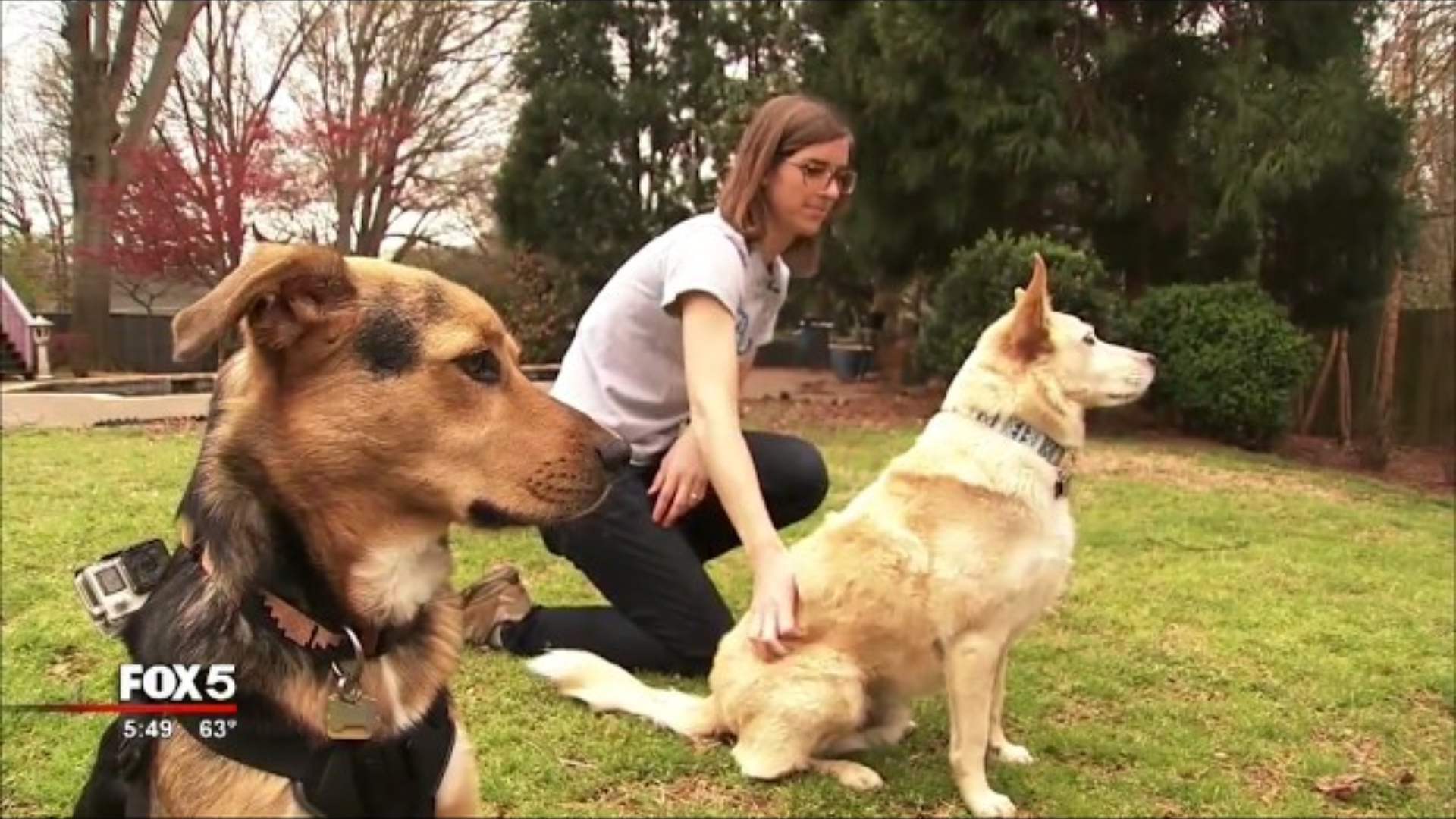 Allergic to Your Pet? These Tips Might Help