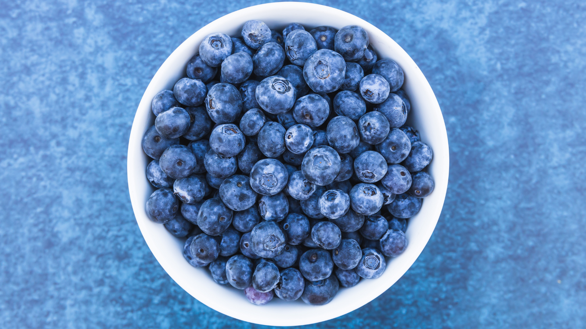 Can Cats Have Blueberries?