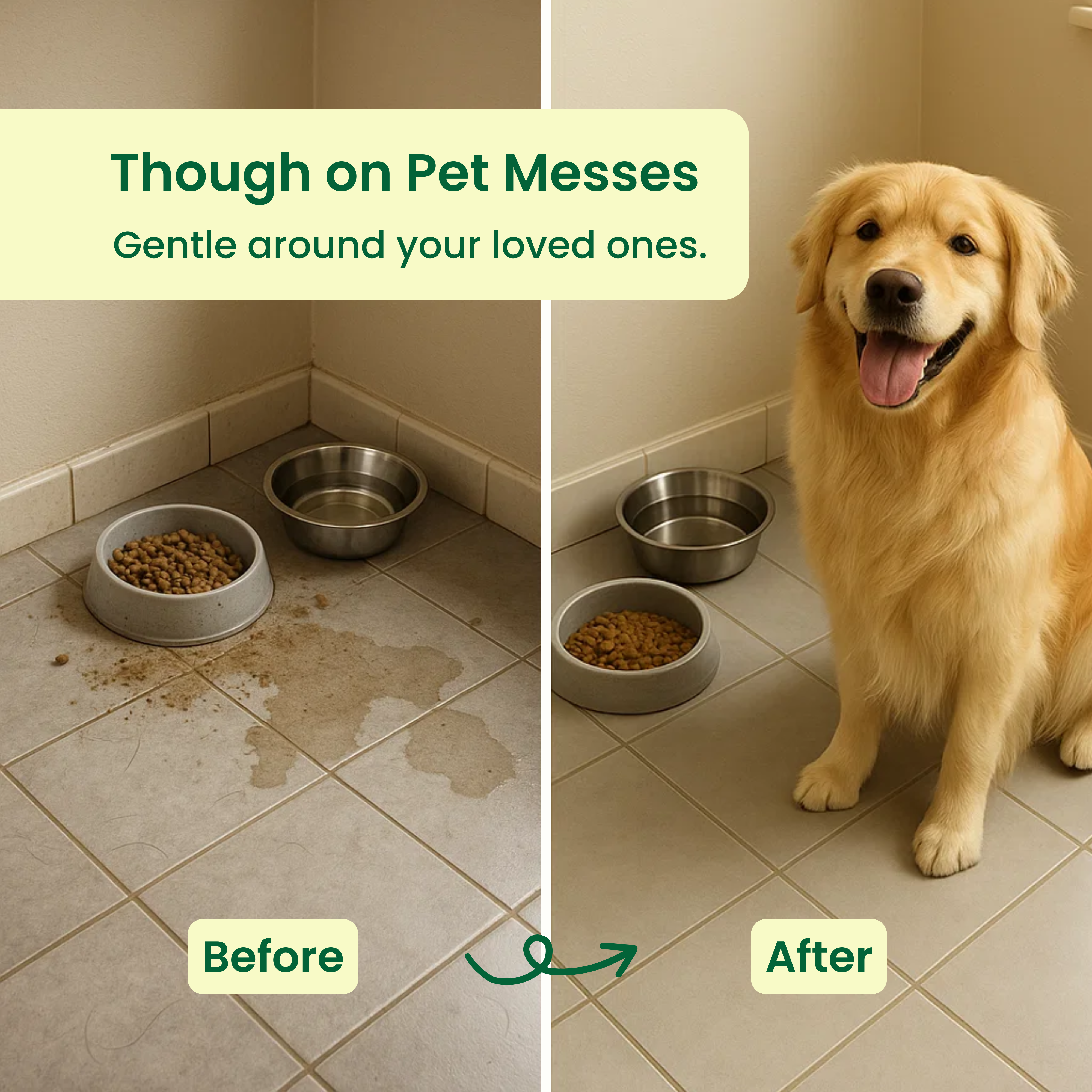 All-Purpose Cleaner