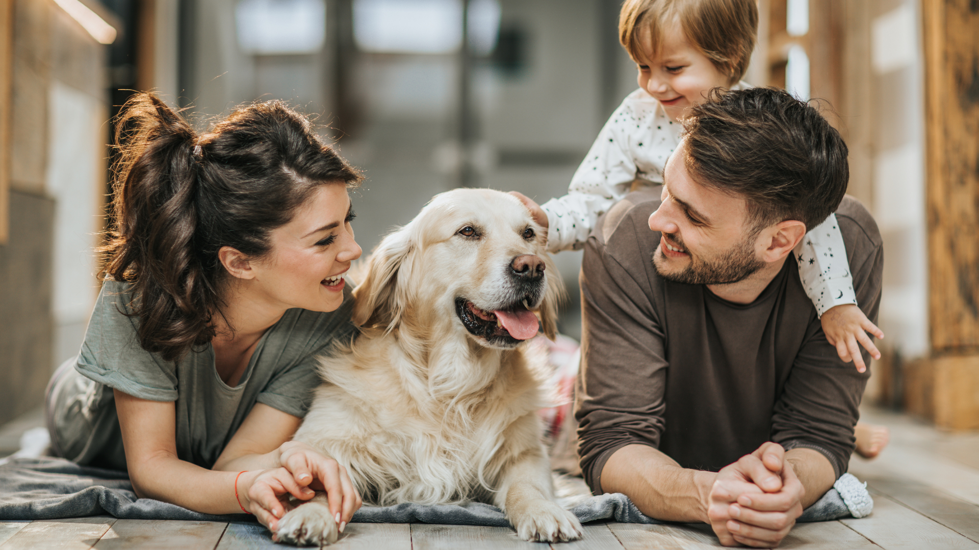 Allergy-Friendly Flooring Options for Pet Homes