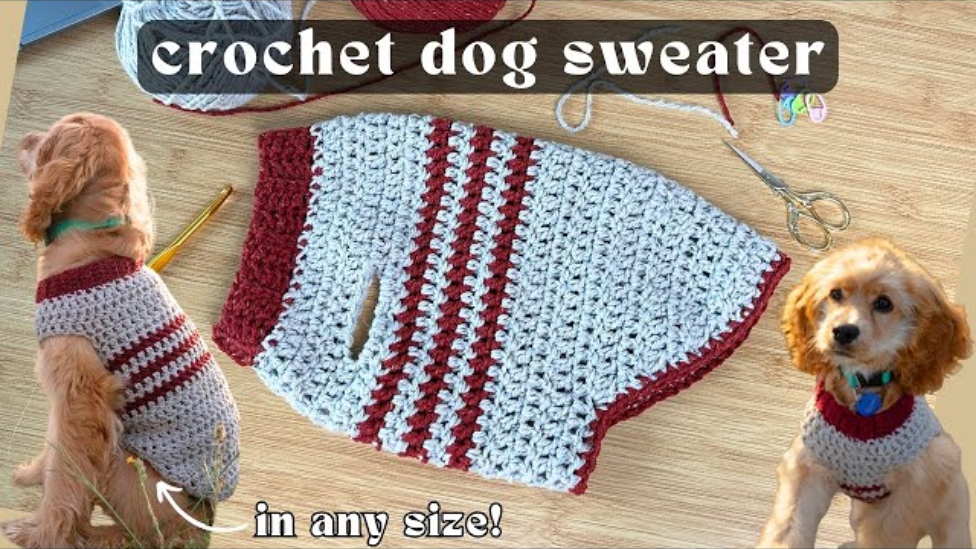 Crochet Dog Sweater Tutorial for Beginners