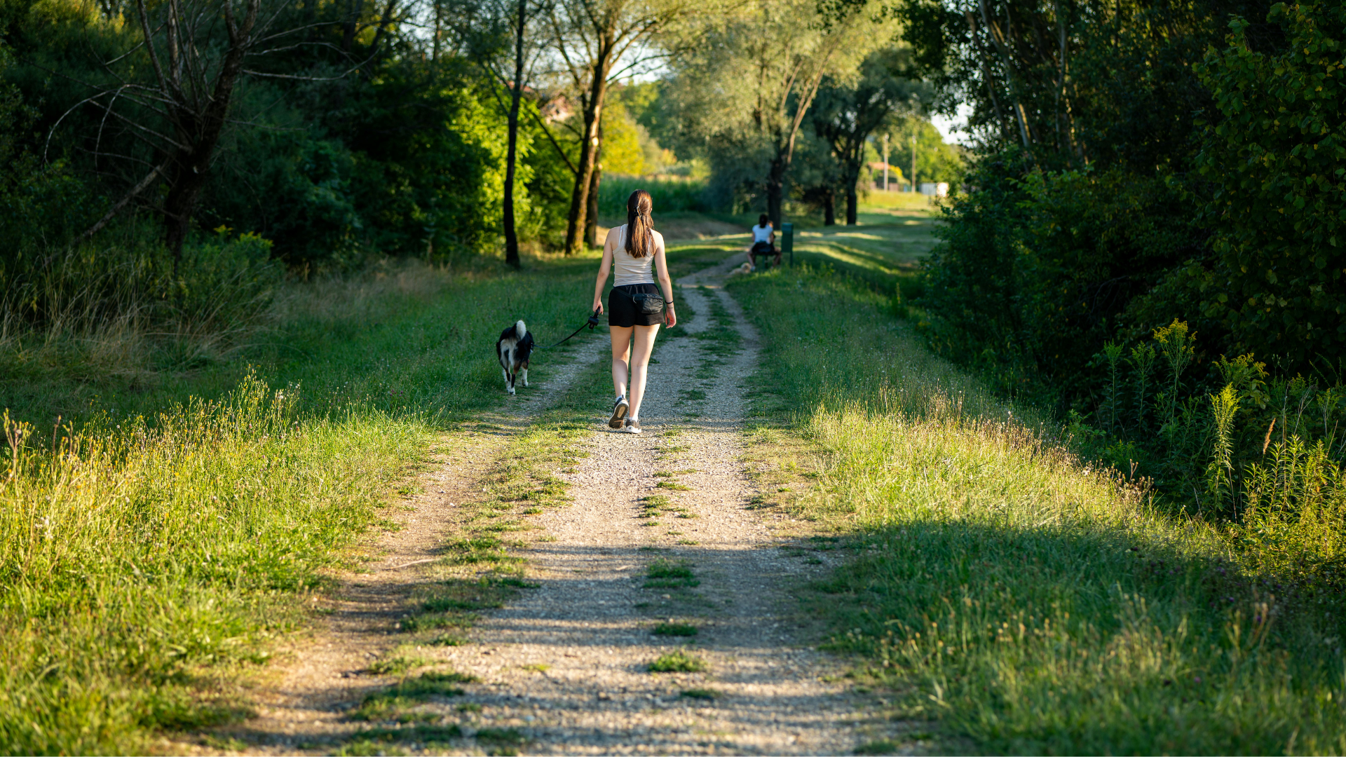 3 Mistakes That Ruin Your Dog’s Recall