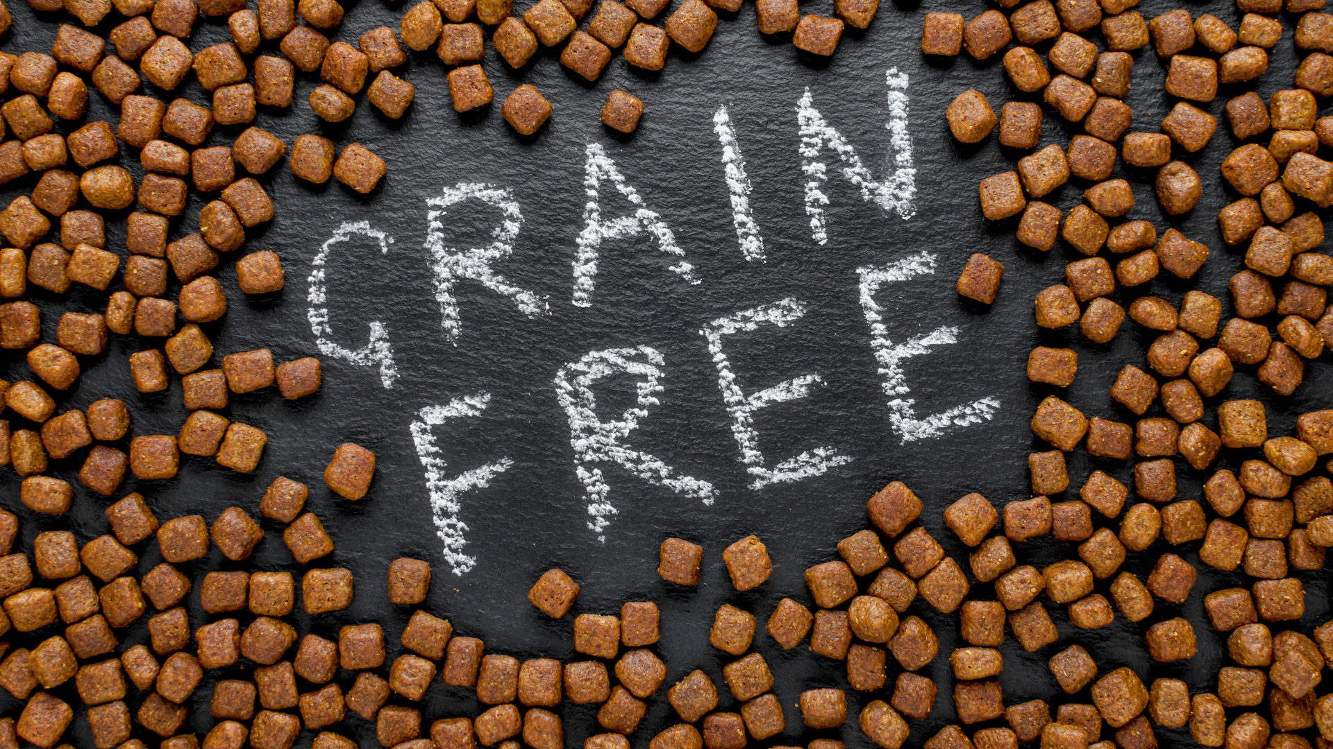 Grain vs. Grain-Free: What's Best for Your Pup?