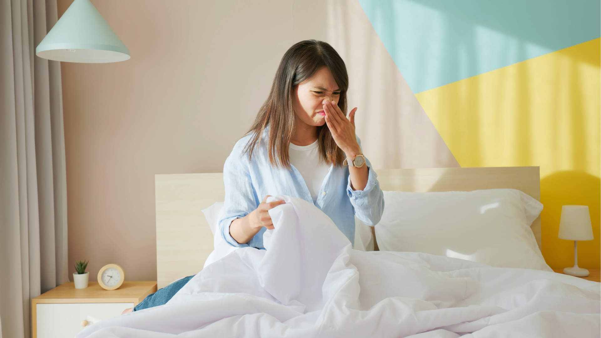 10 Common Pet Odors & How to Eliminate Them Safely