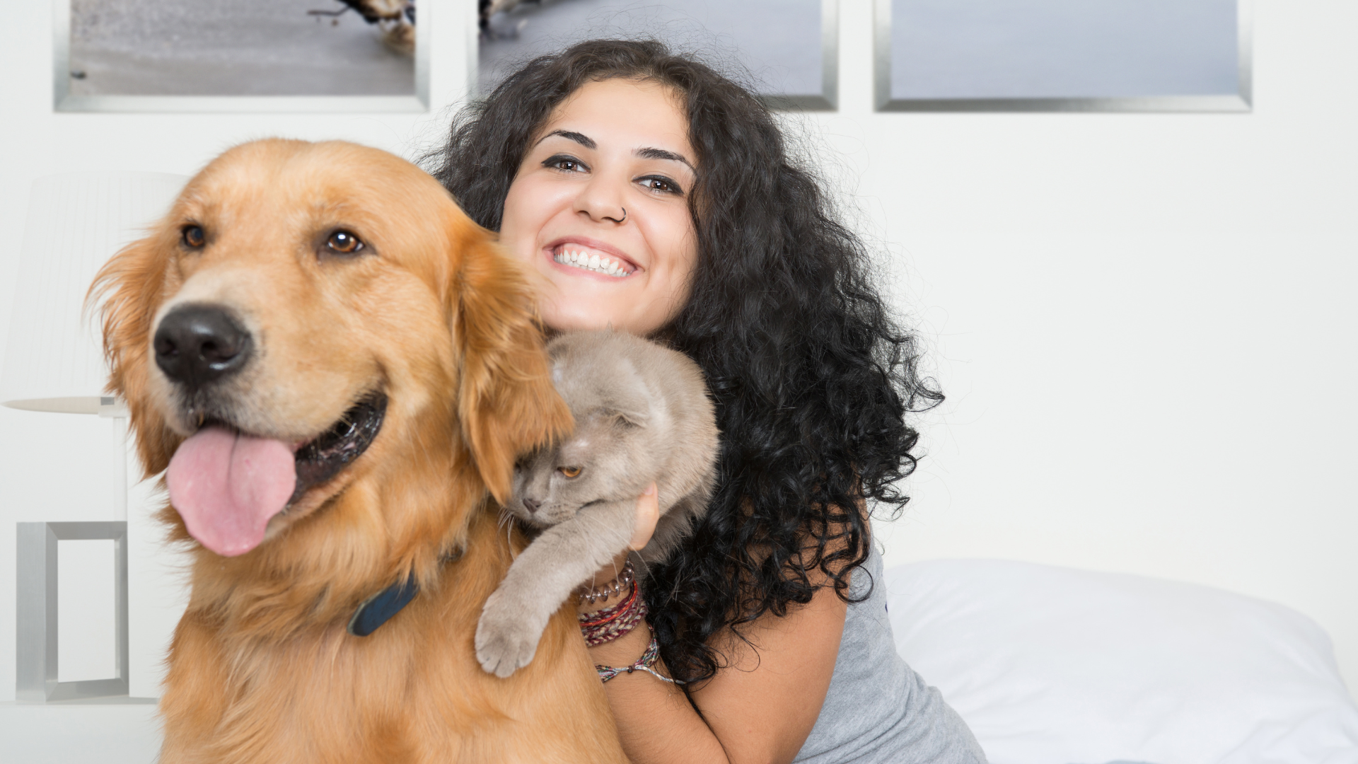 The Benefits of Using Eco-Friendly Detergents for Pet Owners