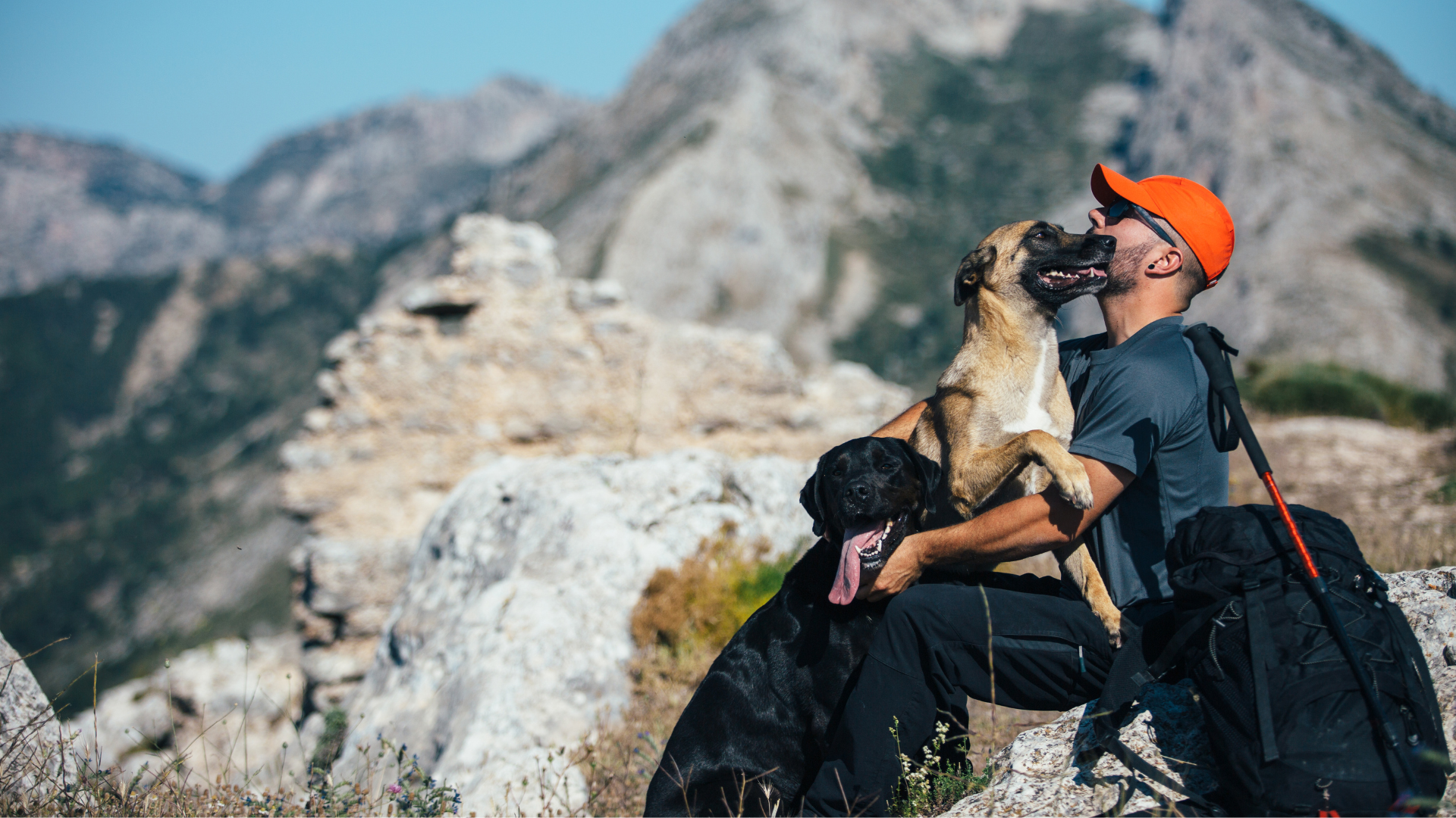 Pet Adventure Kits