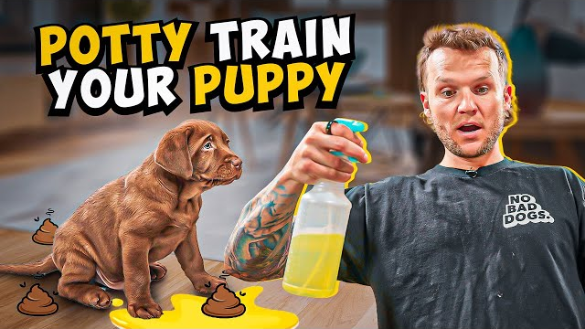 How To Potty Train A Puppy In 5 Minutes!