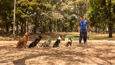 The Dog Breeds I Hate To Work With As A Dog Trainer!