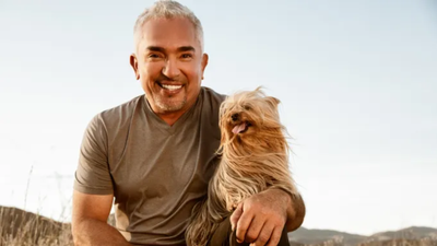 Why Baby Talk Makes Dogs More Anxious?