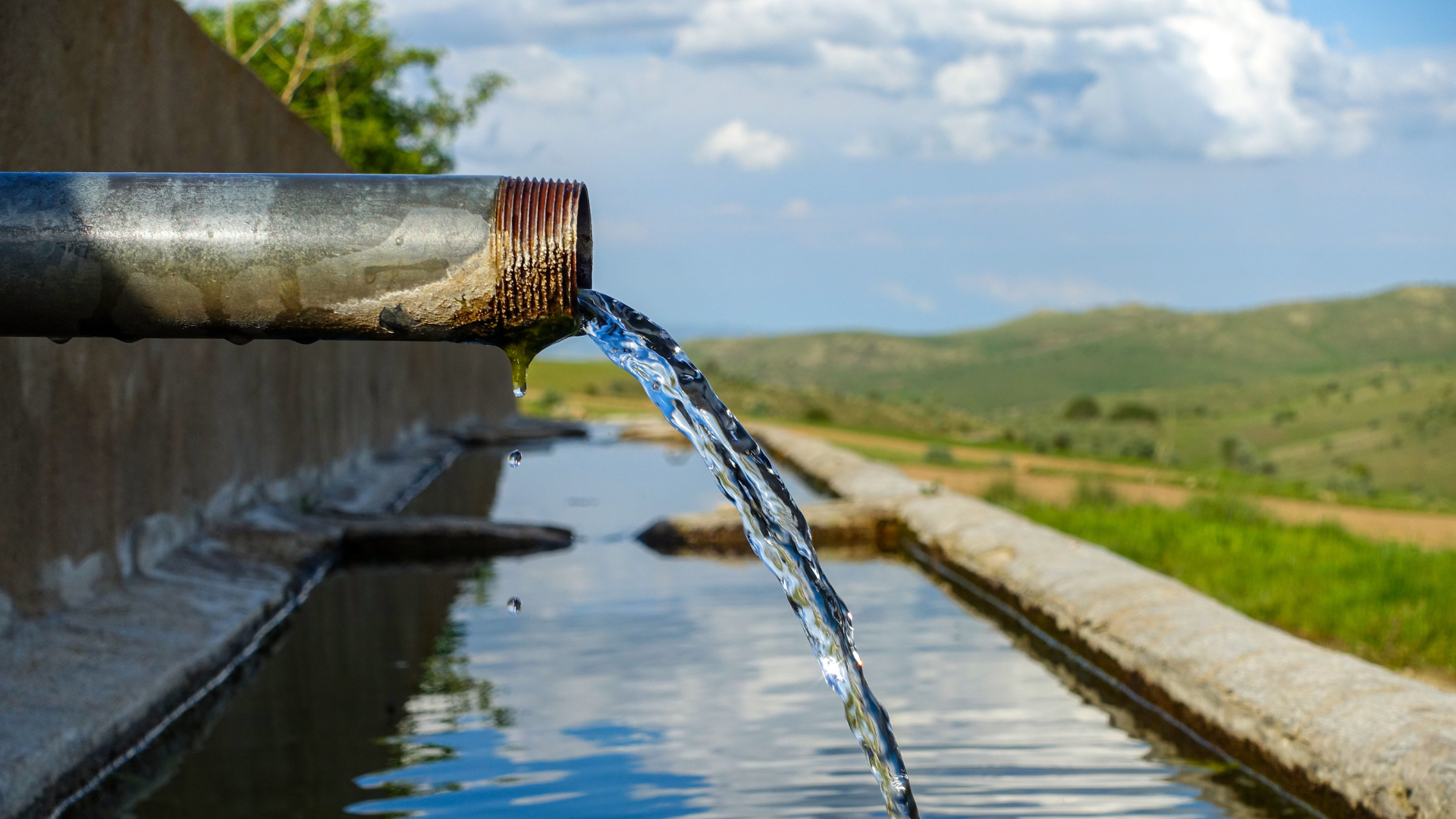 The Impact of Conventional Detergents on Water Sources