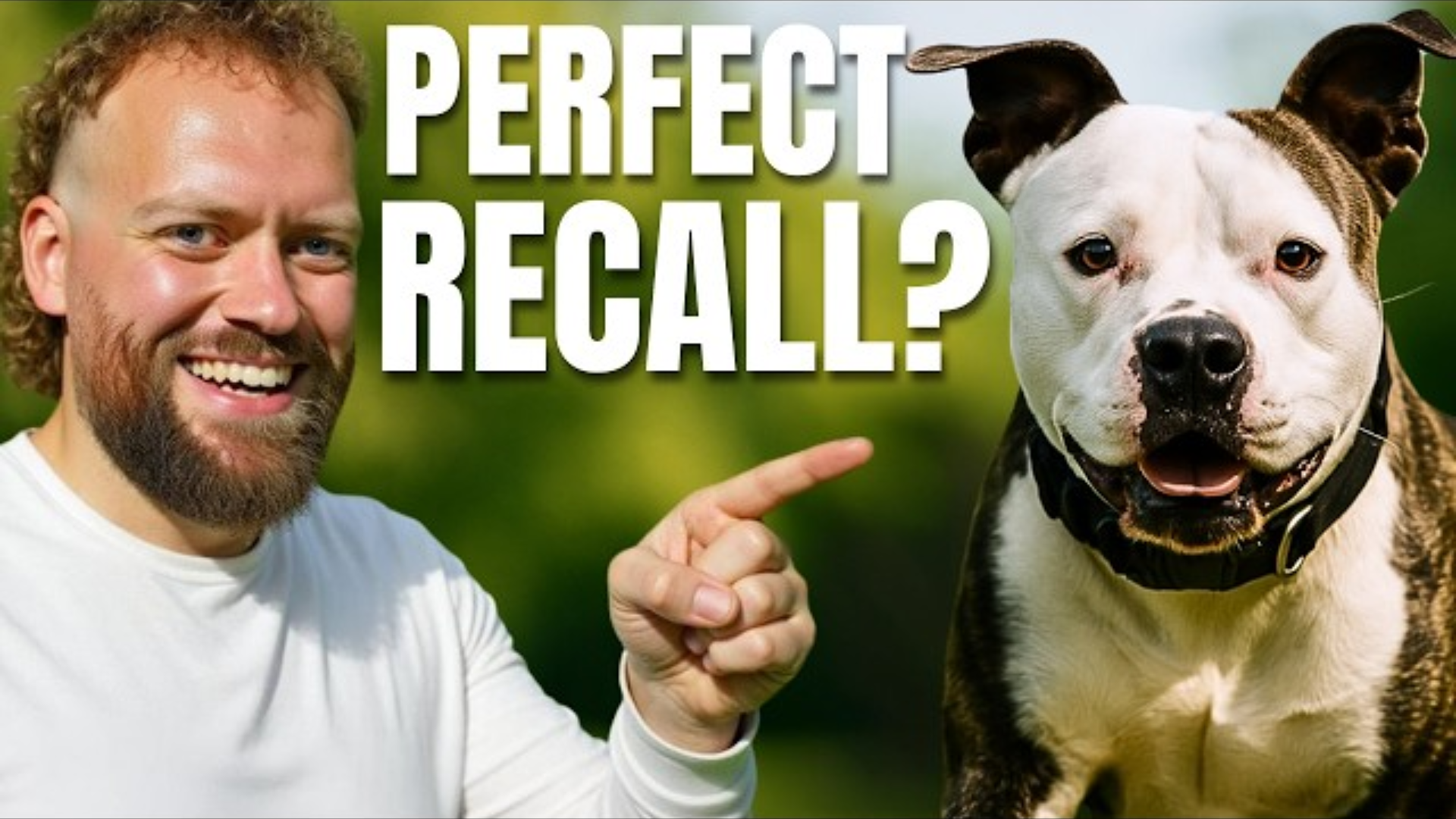 Why Your Dog Won’t Come Back and How to Fix It Today!