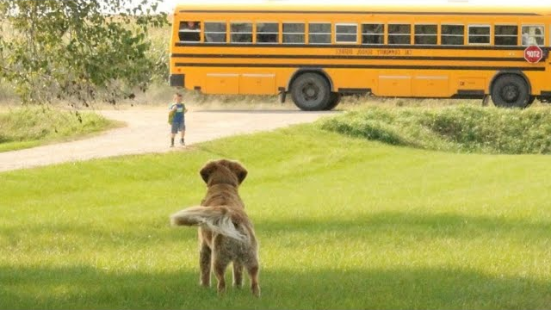 This Is Why Your Kids Need a Dog