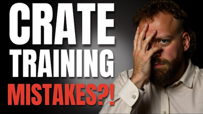 5 Crate Training Mistakes That Ruin Your Dog’s Progress