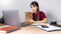 The Ultimate Guide to Pet-Friendly Home Offices