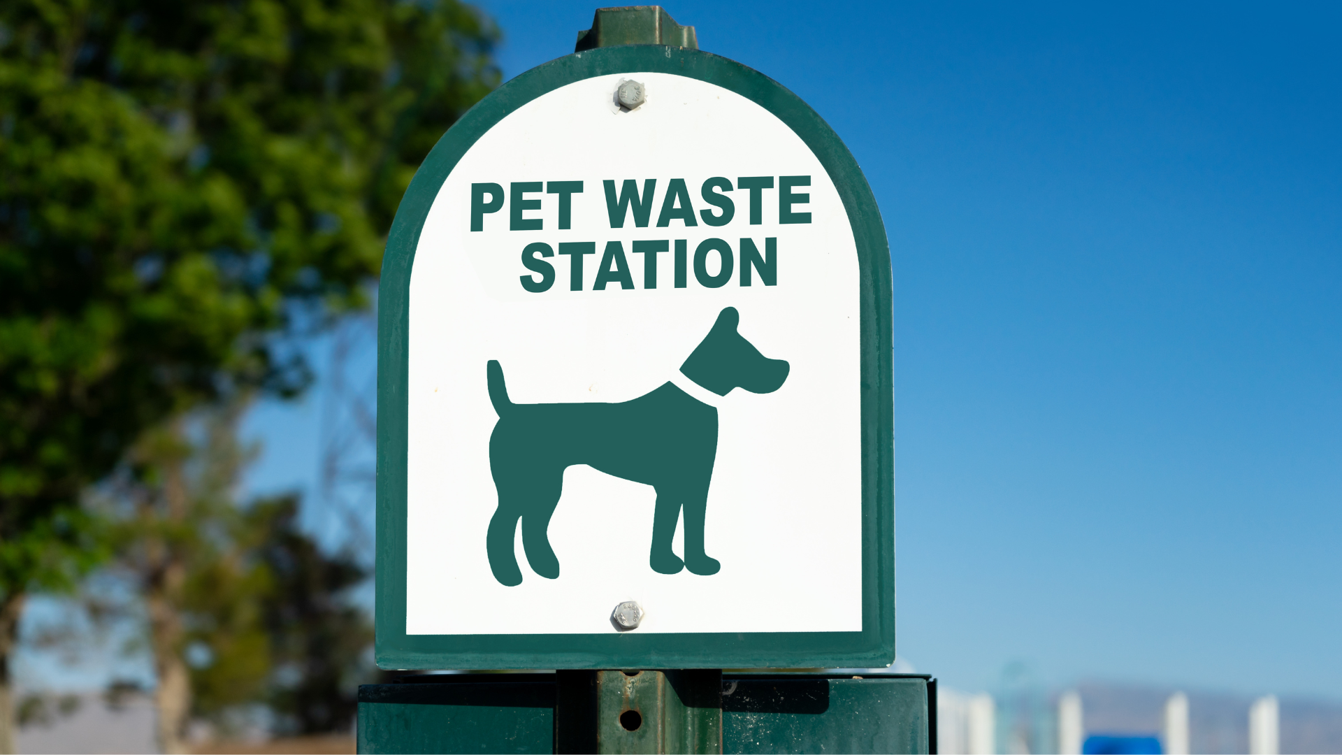 How to Organize a Neighborhood Dog Waste Compost Program