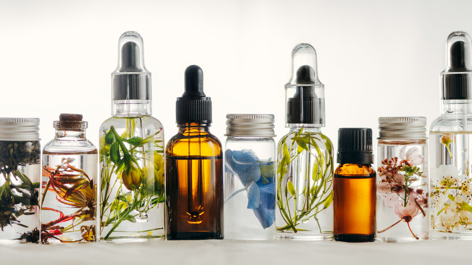 Safe Essential Oils for Dogs and How to Use Them