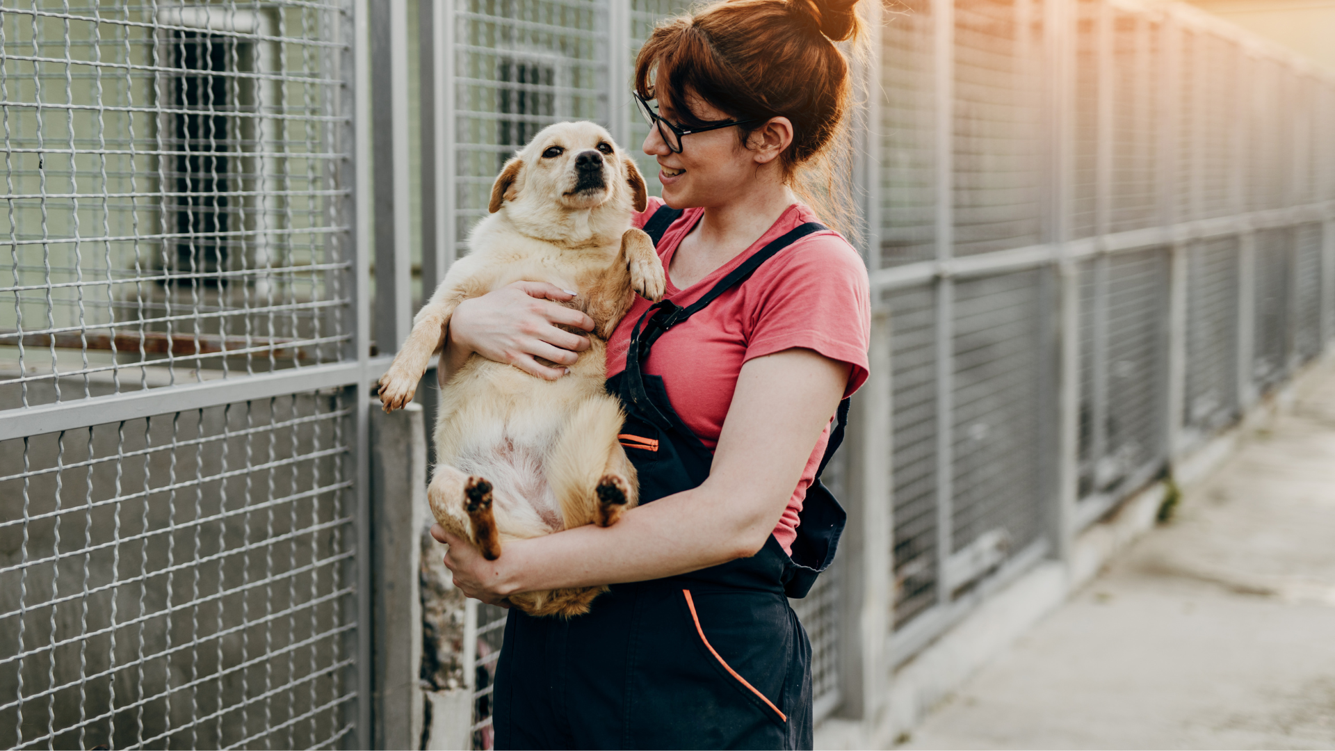 The Complete Guide to Adopting a Special Needs Dog
