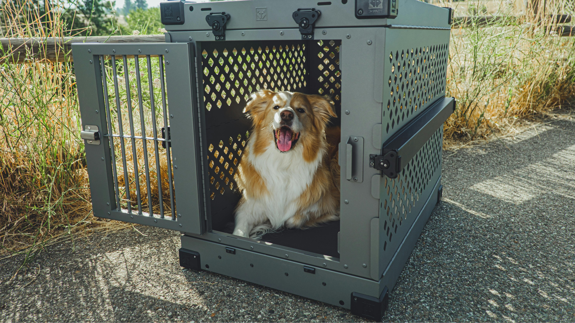 Eco-Friendly Alternatives to Traditional Dog Crates