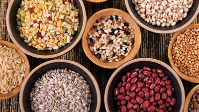 The Truth About Ancient Grains in Dog Food