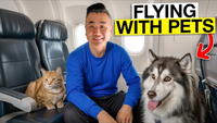 Traveling with Animals: A Special Flight From Australia