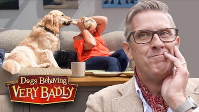 Dogs With the Weirdest Obsessions Ever!