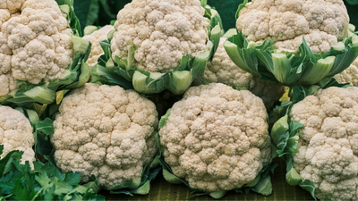 Is Cauliflower Good for Dogs?