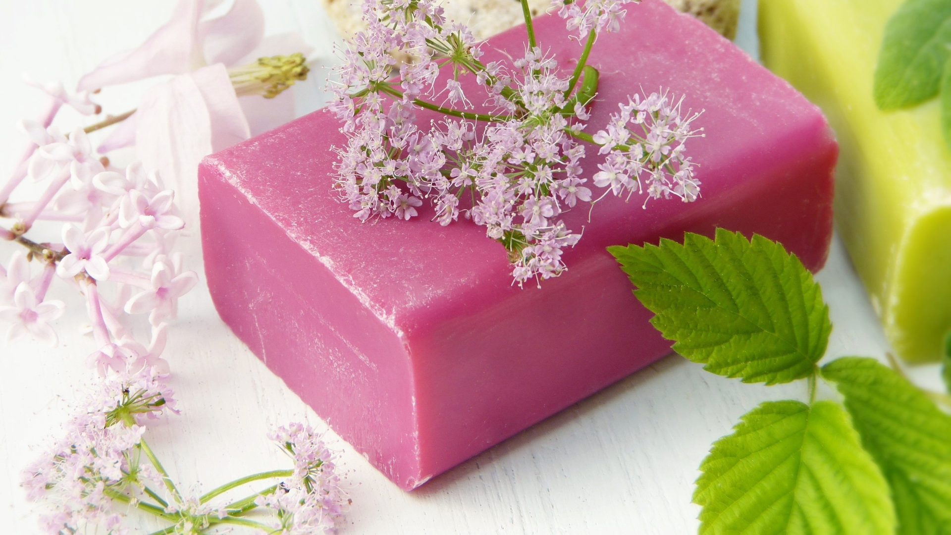 Hand Soap vs Dish Soap: What's the Difference?
