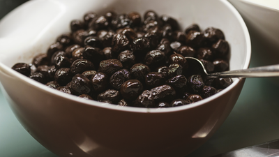 Can Dogs Have Black Olives?