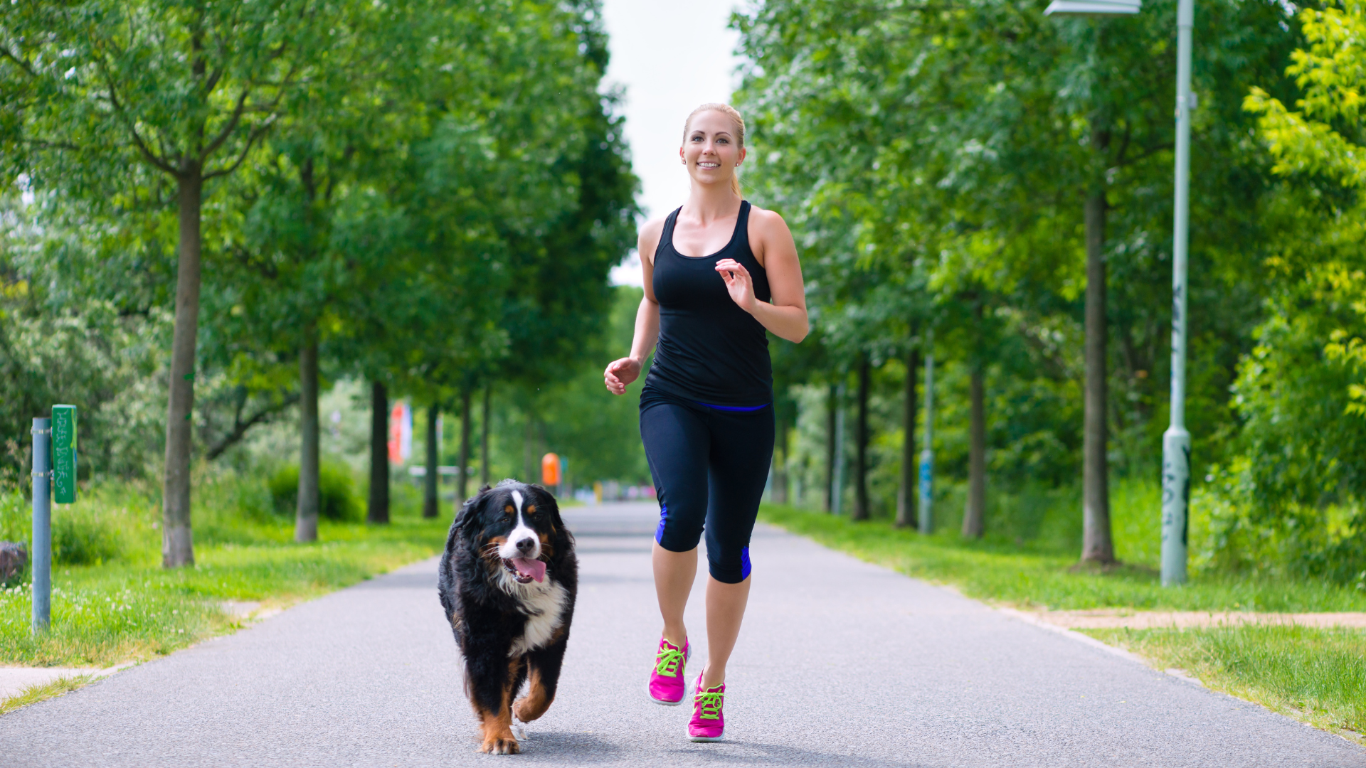 Best Joint Support Activities for Arthritic Large Breeds