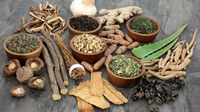 Best Calming Herbs for Anxious Small Dogs