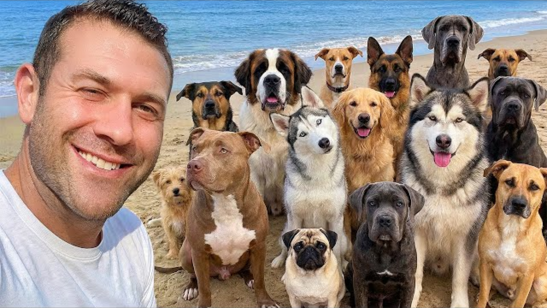 Taking My Dog Sanctuary On Vacation