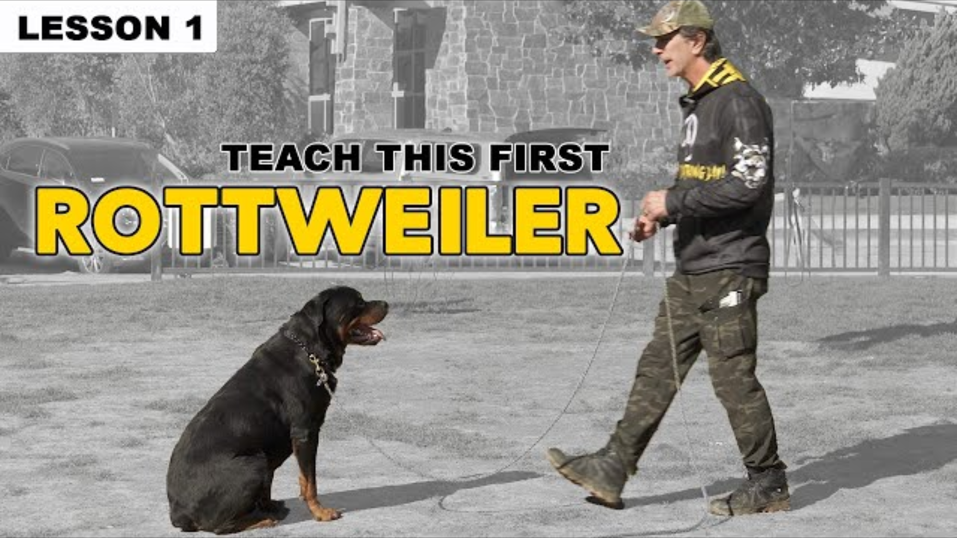 First Things to Teach Your Rottweiler