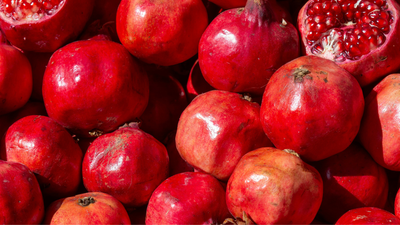 Are Pomegranates Good for Dogs?