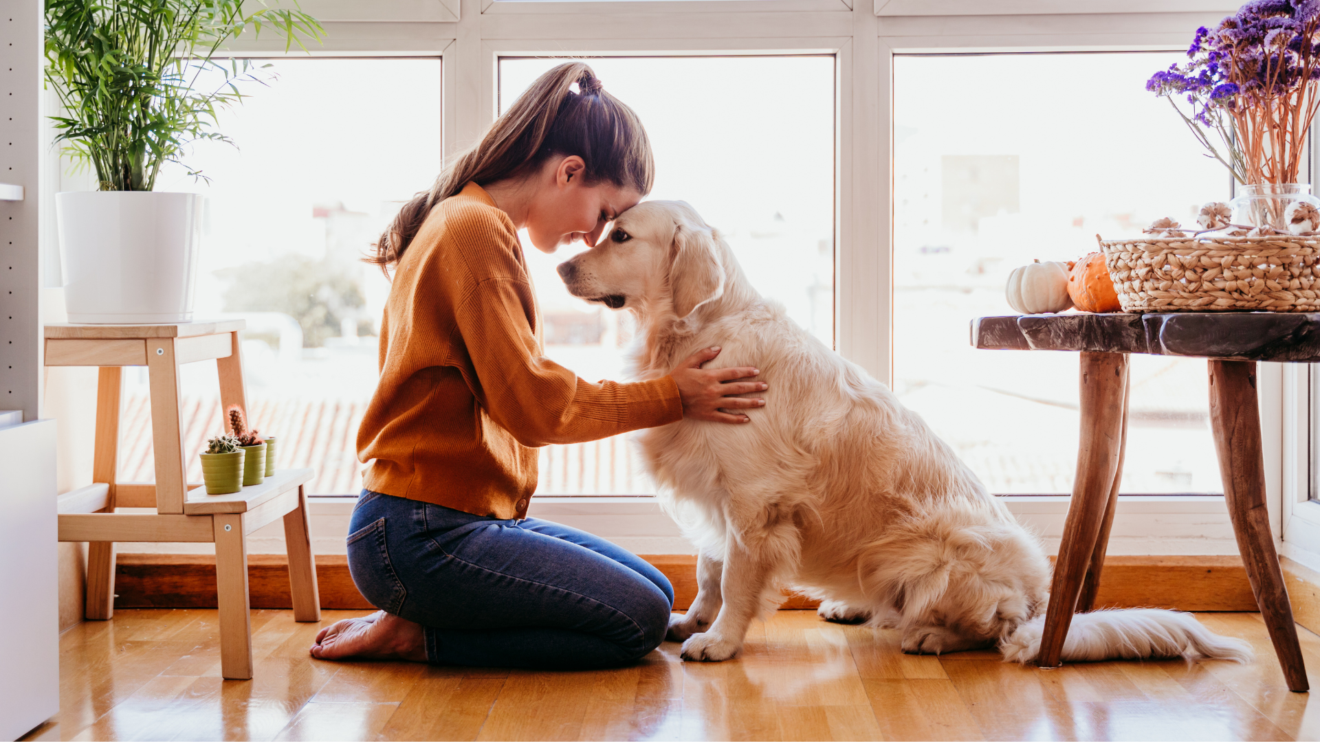 Creative Ways to Bond with Your Dog