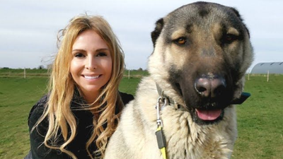 Turkish Kangal Dog: Guardian, Myth, and Reality