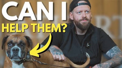 The Shelter Dog Everyone Gave Up On