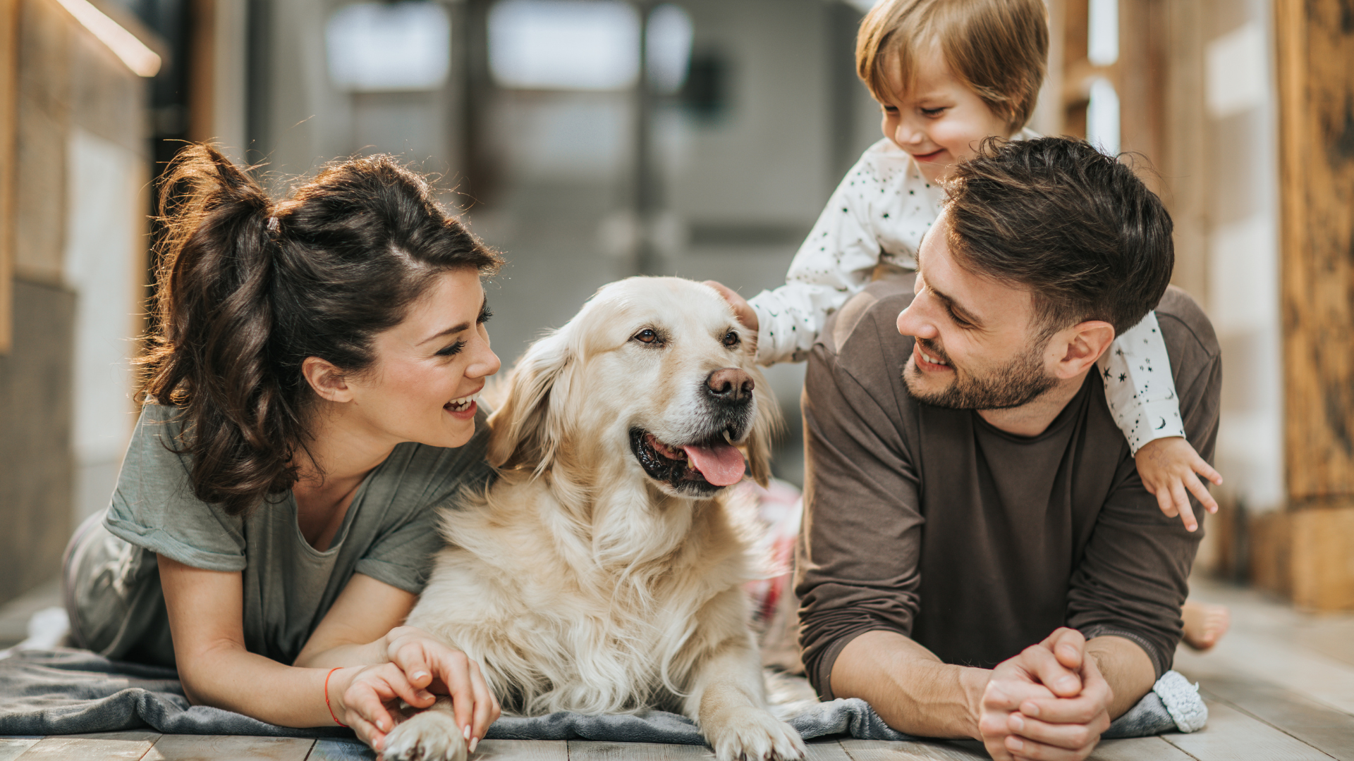 Building a Strong Bond with Your Puppy