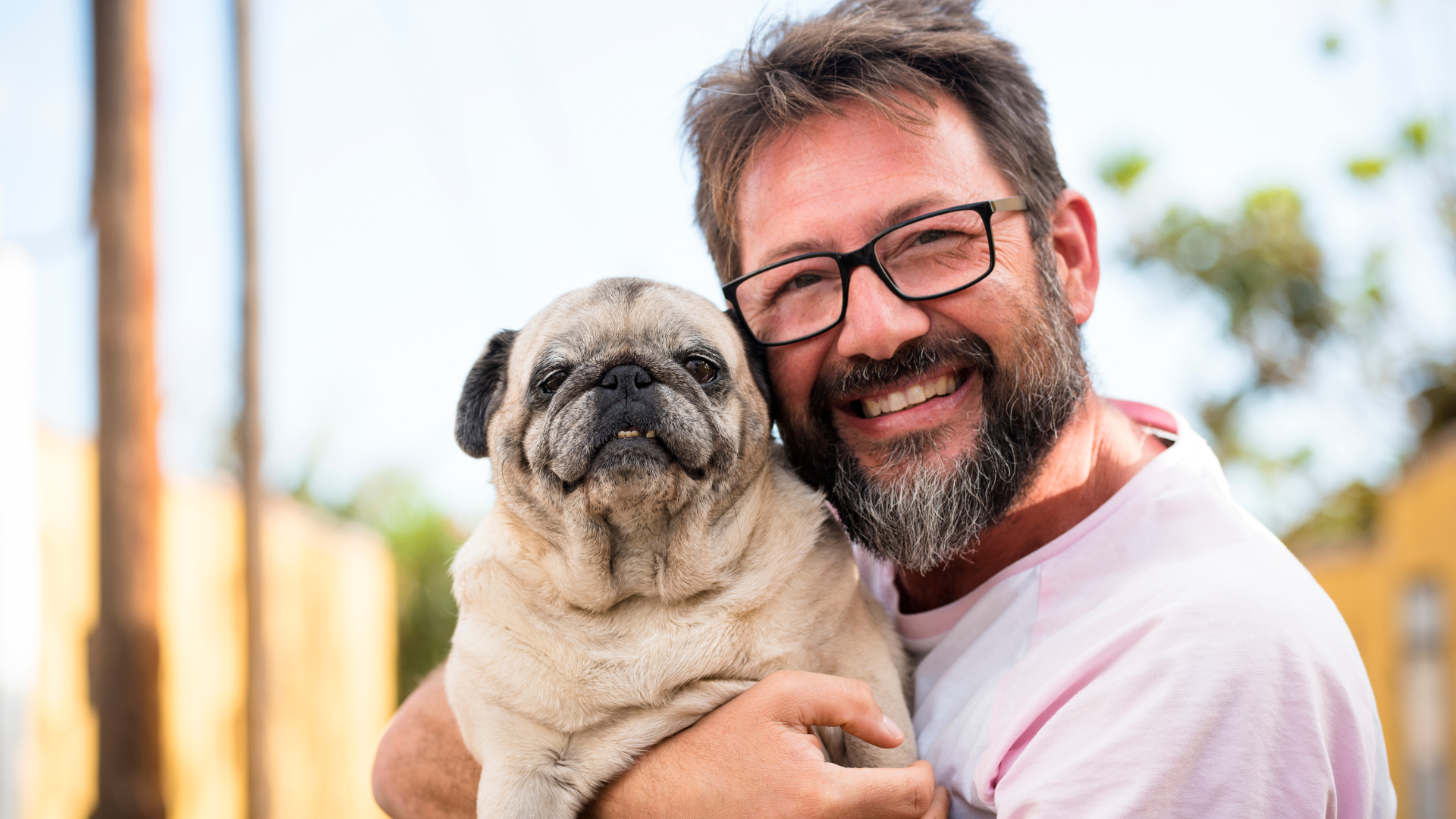 Fun Facts About Dogs That Every Pet Parent Should Know