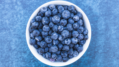 Can Cats Have Blueberries?