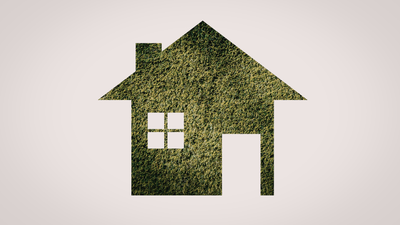 Sustainable Home Cleaning Products: Your Guide to Eco-Friendly Solutions