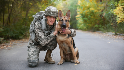 Military Dog Handler Rates 8 Military Dogs In Movies And TV