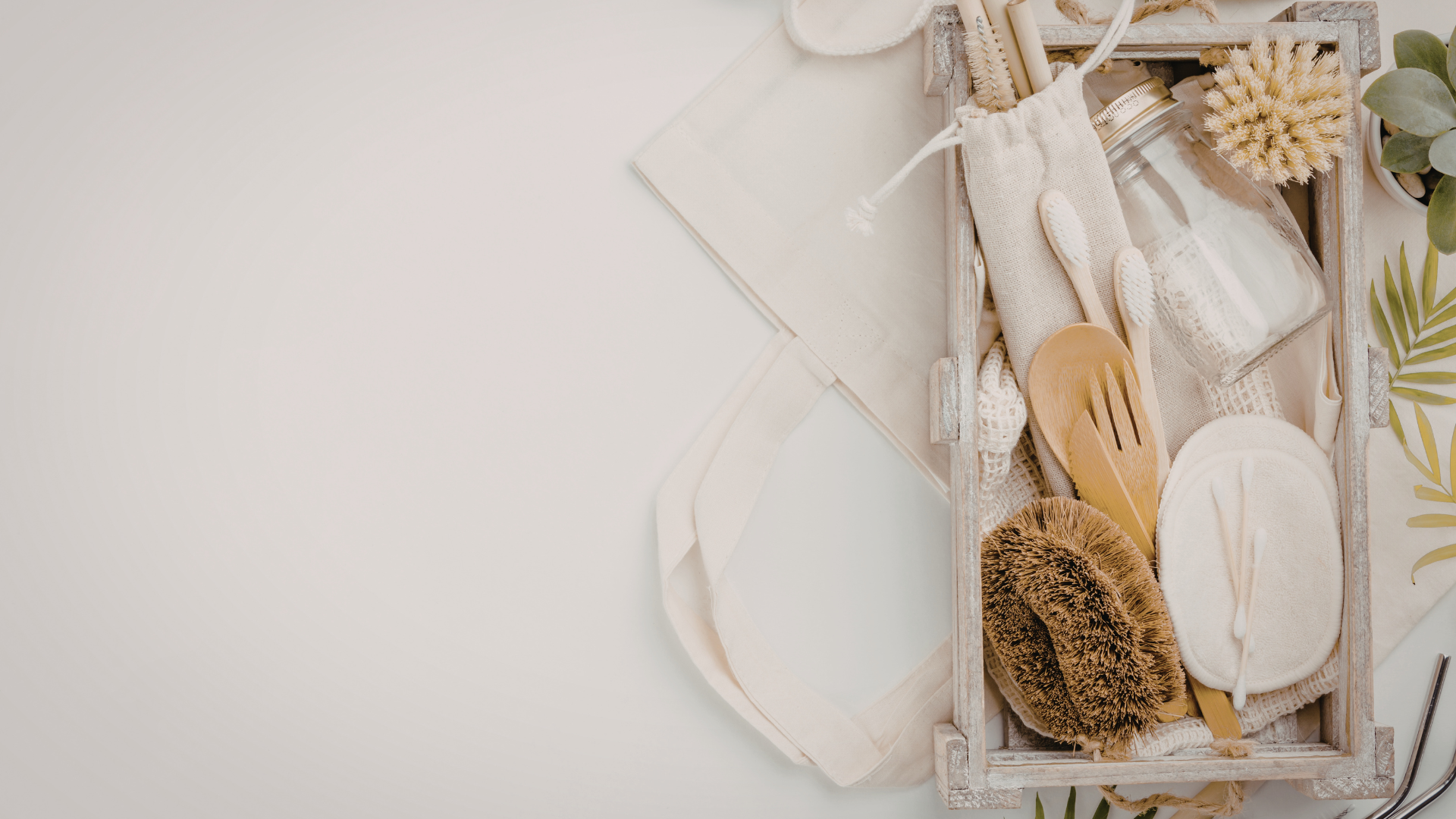Safe Cleaning Brands for Homes With Pets: How to Choose Truly Pet-Friendly Cleaners