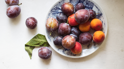 Can Dogs Eat Plums?