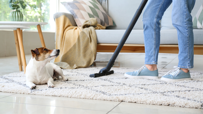 Why “Pet Safe” Really Matters in Your Cleaning Routine