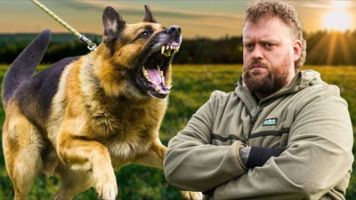 Fix Your Dog’s Reactivity Fast