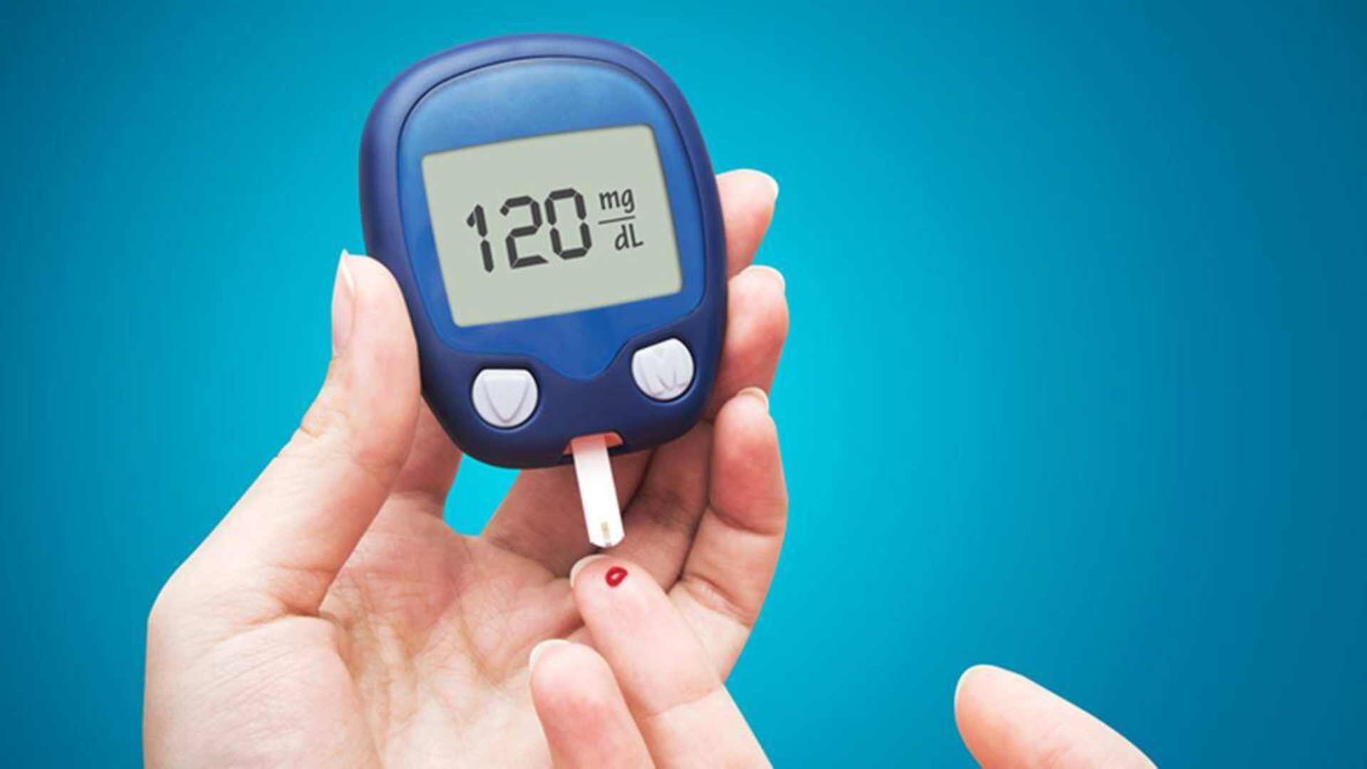 How to Train Your Dog to Detect Low Blood Sugar (For Diabetic Owners)