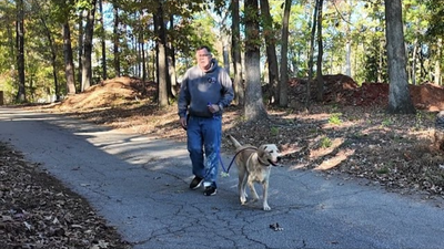 Leash Training Your Puppy: A Step-by-Step Guide to Success