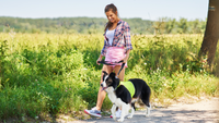 Must-Have Gear for Outdoor Activities with Dogs