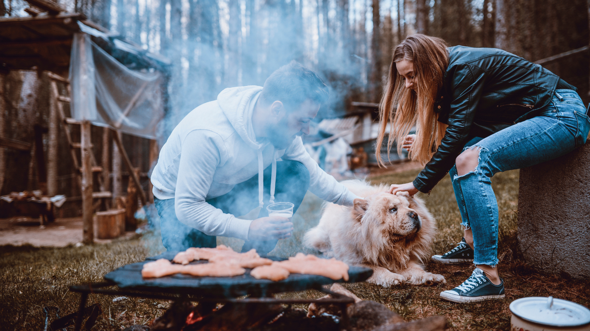 How to Throw a Dog-Friendly BBQ This Summer